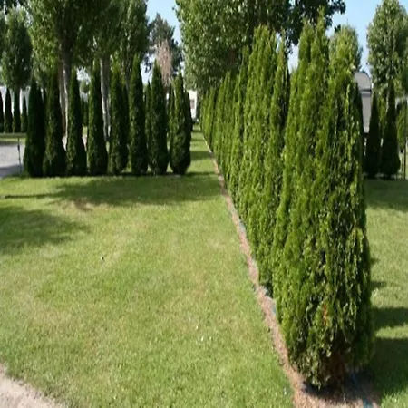 Camping La Route Blanche Kemping Bréville-sur-Mer